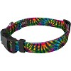Country Brook Petz Deluxe Dog Collar - Groovy Collection - 3 of 4
