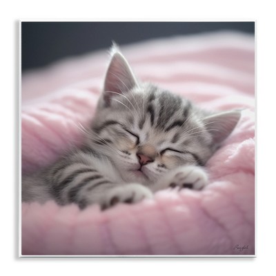 Stupell Industries Soft Kitten Tucked In Wall Plaque Art