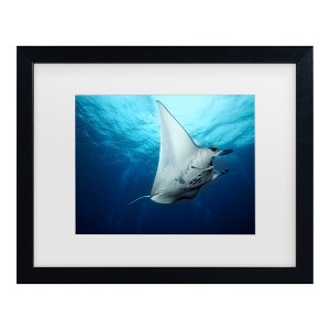 Trademark Fine Art - Roberto Marchegiani  Manta Fly Matted Framed Art - 1 of 4