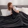 Classic Velvet Loft Twin Bed, Lightweight Soft Fuzzy Plush, Black, 60x92 Inches - 2 of 4
