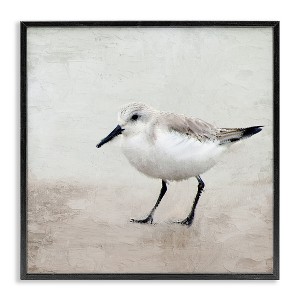 Stupell Industries Lone Sandpiper Bird Portrait, 24" x 24" - 1 of 4