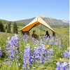 WHITE DUCK Rover Scout Canvas Tent with Stove Jack & Mesh Doors – 4-Season Weatherproof Camping Tent, Fire & Water-Resistant - 4 of 4