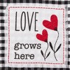 Design Imports Asst Valentines Checked Embellished Dishtowel Set/3 - 4 of 4