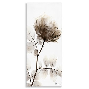 Stupell Industries Contemporary X-Ray Flower, 10" x 24" - 1 of 4