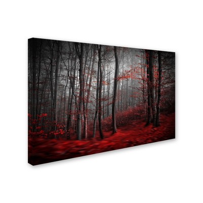Trademark Fine Art - Samanta Bloody River Matted Framed Art