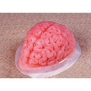 Fun World 9-inch Brain Shaped Plastic Gelatin Mold - 1 of 1