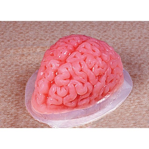 Fun World 9-inch Brain Shaped Plastic Gelatin Mold - image 1 of 1