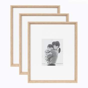 Kate & Laurel All Things Decor (Set of 3) 16"x20" Matted to 8"x10" Calter Modern Wall Picture Frames 