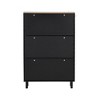 YOOCOZZ Tipping Bucket Shoe Cabinet with 3 Flip Drawers and 3 Hooks,Wood Grain Pattern,Adjustable Panel-Black - 4 of 4