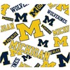 NCAA Michigan Wolverines Tervis All Over Venture Water Bottle - 24oz - 2 of 4
