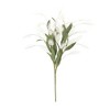 Melrose Plume Bush (Set of 2) - 2 of 3