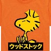 Boys' - Peanuts - Woodstock Short Sleeve Graphic T-Shirt - 2 of 4