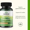 Swanson Bacillus Coagulans probiotic for digestive & gut health (6 Billion CFU, 60 veggie capsules) - 4 of 4