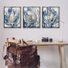Stupell Industries Trio of Shells & Coral, 25" x 31" - 2 of 4
