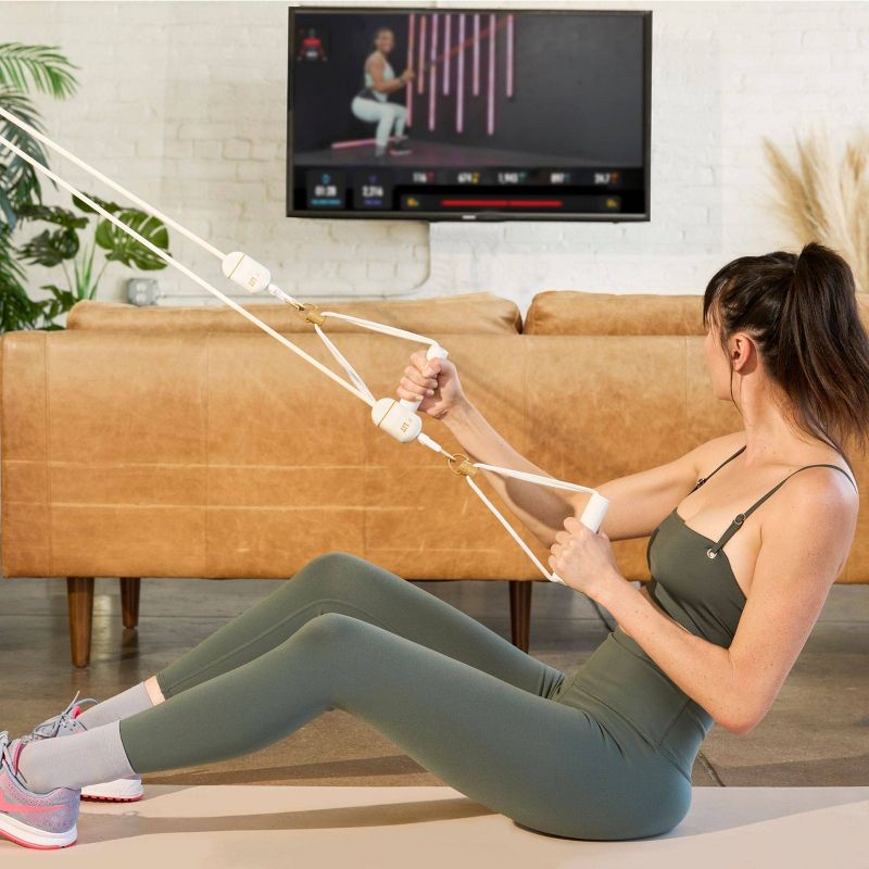 LIT Method Axis Home Gym Resistance Band Training System, 6 of 10