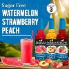 Syruvia Sugar Free Coffee Flavors Variety Pack: Watermelon, Peach & Strawberry 25.4 fl oz Syrup - 3 of 4
