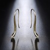 Fish Hook Drop Earrings for Women Cubic Zirconia Ginger Lyne Collection - 4 of 4