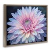 Stupell Industries Dew Kissed Pink Chrysanthemum Floating Frame Canvas Art - 2 of 4