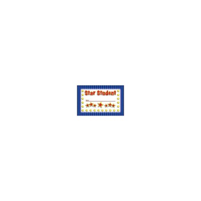 North Star Teacher Resources Punch Card Star Student 36/PK 4 PK/BD NST2402