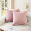 REGALWOVEN Fade-Resistant Modern Soft Solid Cushion Cases 2 Pcs - 2 of 4