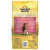 Nature's Recipe Grain Free Salmon, Sweet Potato & Pumpkin Recipe Dry Dog Food - 2 of 4