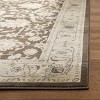 Florenteen FLR125 Power Loomed Indoor Rugs - Safavieh - 3 of 4