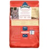 Blue Buffalo Wilderness Grain Free Indoor Hairball & Weight Control with Chicken Adult Premium Dry Cat Food - 2 of 4