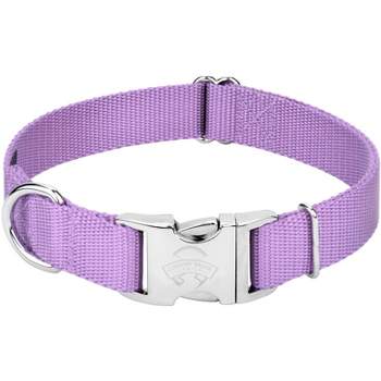 Country Brook Petz Premium Nylon Dog Collar with Metal Buckle for Small Medium Large Breeds - Vibrant 30+ Color Selection