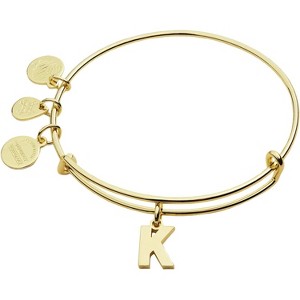 Alex and Ani Expandable Bangle for Women, Initials A to Z Letter Charms, Shiny Finish, 2 to 3.5 in - 1 of 4