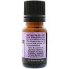 Plantlife Hyssop Aromatherapy Essential Oil – 100% Pure, Therapeutic Grade, No Additives or Fillers, 10 ml - 2 of 2