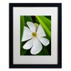 Trademark Fine Art -Kurt Shaffer 'White Magnolia Flower' Matted Framed Art - 2 of 4