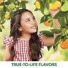 Jelly Belly 50-Flavor Box - 21 Ounces Assorted Flavors - 4 of 4