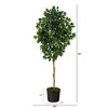 Nearly Natural 74-in Ficus Artificial tree in Black Tin Planter - 2 of 4