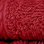 cranberry