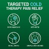 Biofreeze Pain Relieving Patch - 5ct - 3 of 4