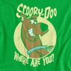 Boys' Scooby Doo Where Are You T Shirt - 2 of 4