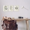 Stupell Industries Green Botanical Latin Study, 11" x 14" - 2 of 4