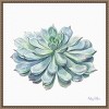 Amanti Art Single Succulents I by Kelsey Wilson Framed Wall Art Print - 4 of 4