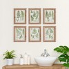Plum & Post Assorted Frond Study Petite, Set Of 6 - 3 of 3