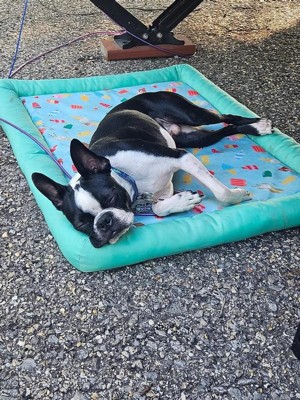 Pet cooling mat target sale