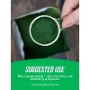 BulkSupplements Organic Chlorella (Blue-Green Algae) Powder - 4 of 4