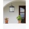 Z-Lite Mesa 1 - Light Pendant in  Black - 2 of 2