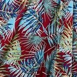 palm