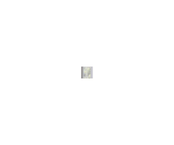 Ruffle Batiste Window Panel White (50"x84") - Eclipse My Scene