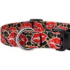 Country Brook Petz Deluxe Dog Collar - Affection Collection - 4 of 4