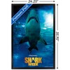 Trends International Shark Week - Smile Framed Wall Poster Prints - 3 of 4