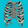 Men's Design By Humans Your Rib Is an Octopus By huebucket T-Shirt - 2 of 3