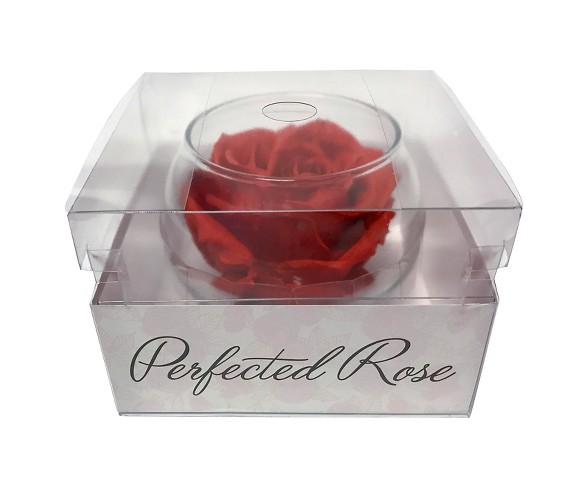 Bloomaker Perfected Rose