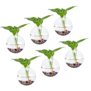 Unique Bargains Glass Wall-Mounted Hydroponic Indoor Decorative Tray Transparent 6 Pcs - 1 of 4