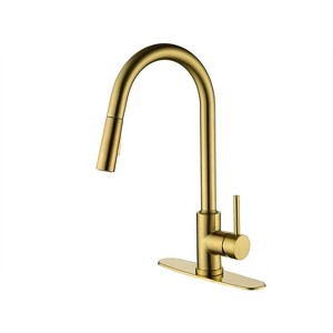 PAGED Single Handle Bathroom Sink Faucet,Bathroom Faucet with Pull Down Sprayer for Home Sinks - 1 of 4